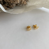 SANTIAGO Shell Mini Studs