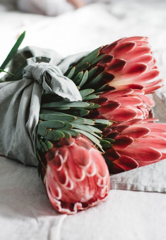 V DESIGN LAB within Top 3 Design Gifts. A special person we virtually met last December