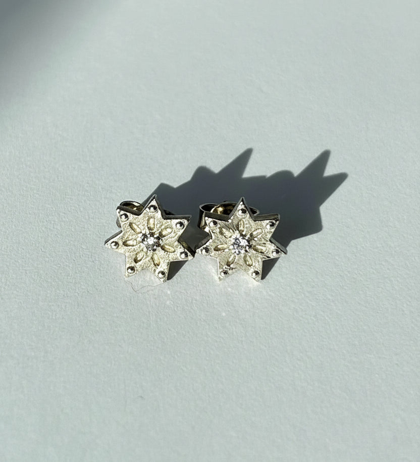 STAR*ina Earstuds